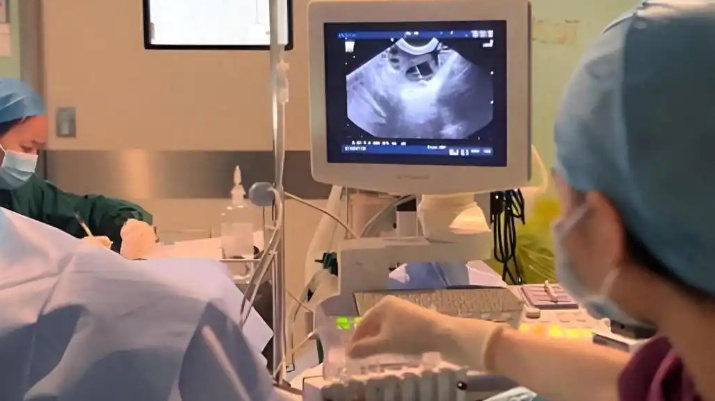 ���Ѵ���˫��̥